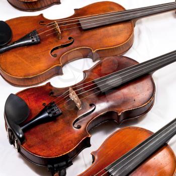 several used violins on white background close up