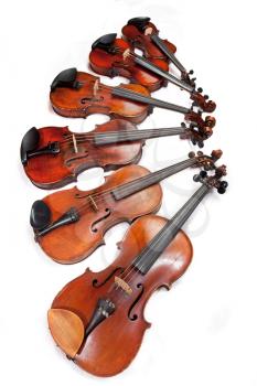 different sized fiddles on white background