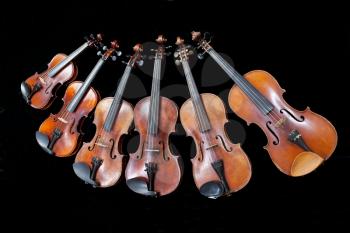 family of different sized violins on black background