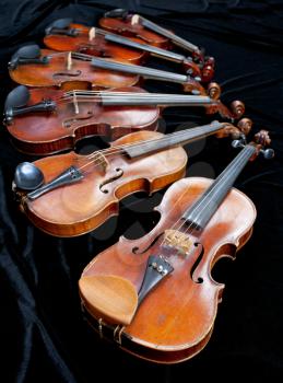family of different sized violins on black velvet close up