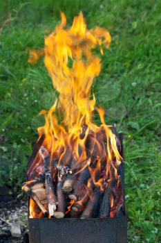 tongues of flame over burning wood in outdoor brazier