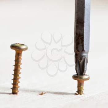 Screwdriver wraps screw in wooden board