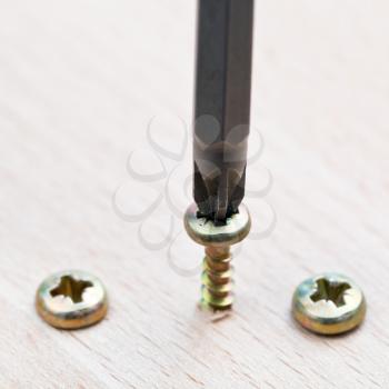 series wrapped screws in wooden plank