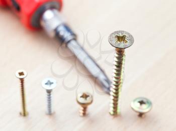 screwdriver and several screws wrapped in wooden plank close up