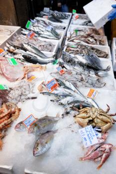 fresh cool fish on ice at street market in Bologna, Italy