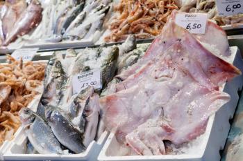 fresh cool fish on ice at street fish market in Bologna, Italy