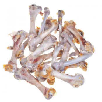 picked chicken bones isolated on white background