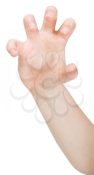 open claws palm close up - hand gesture isolated on white background