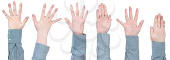 set of female palms with five fingers - hand gesture isolated on white background