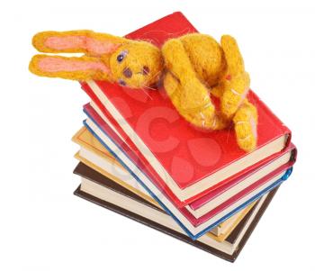 top view of felt soft toy rabbit lies on stack of books isolated on white background