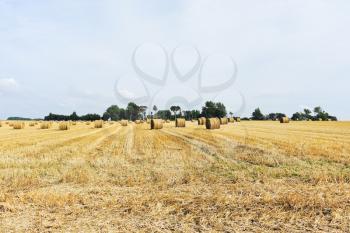 scenic with haystack rolls on harvested field in Normandy, France