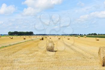 landscape with yellow haystack rolls on harvested field in Normandy, France