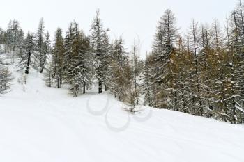 snow mountain slope in skiing area Via Lattea (Milky Way), Sestriere, Italy