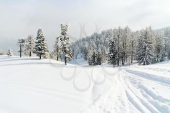 snow covered ski run in skiing area Via Lattea (Milky Way), Sestriere, Italy