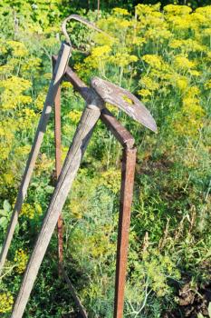 old agrarian tools in garden in summer day