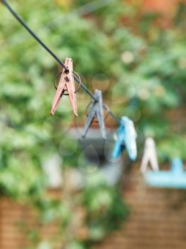 clothesline with clothespins on backyard in summer day