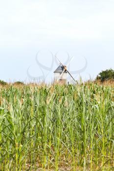 windmill in cornfield in Briere region, France