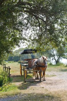 horse with carriage in village de Breca, in Briere Regional Natural Park, France