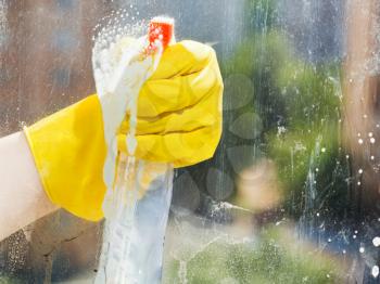 hand in rubber glove cleans home window from spray bottle