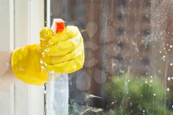 cleaning window from spray glass cleaner bottle