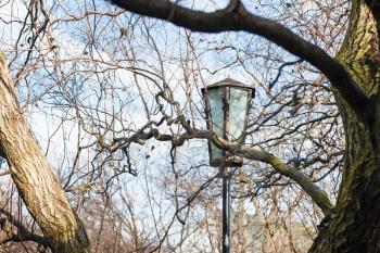 vintage outdoor lantern and bare willow tree branches in sunny spring day