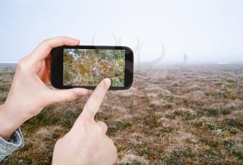travel concept - tourist taking photo of Arctic tundra in spring, Siberia, Chukotka on mobile gadget Russia