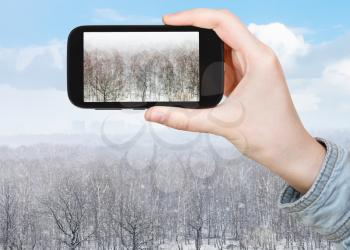 travel concept - tourist takes picture of oak and birch trees in snow blizzard in forest in spring on smartphone