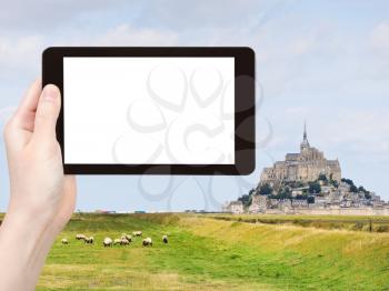 travel concept - tourist photograph sheep grazing near mont saint-michel abbey, Normandy, France on tablet pc with cut out screen with blank place for advertising logo