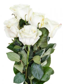 side view of bunch of white roses isolated on white background