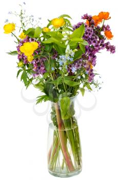 bouquet of summer wild flowers in glass vase on white background