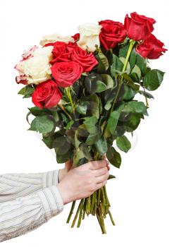 two hands giving bunch of various roses isolated on white background