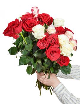 two hands giving bunch of many roses isolated on white background