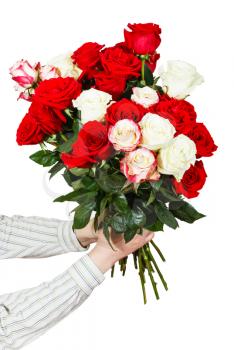 two hands giving bouquet of many roses isolated on white background
