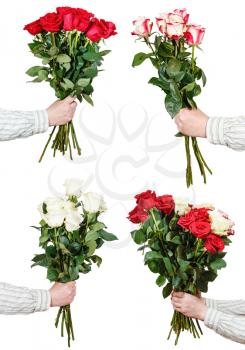 set of big bunches of various rose flowers in male hands isolated on white background