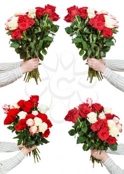 set of bunches of many rose flowers in male hands isolated on white background