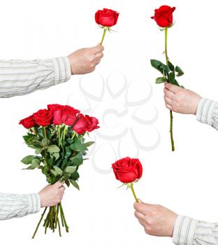 set of red rose flowers in hand isolated on white background