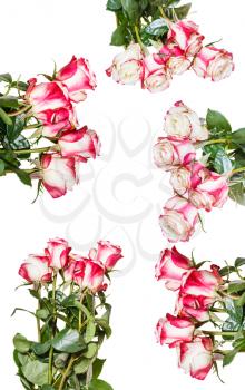 set of pink rose bouquets isolated on white background