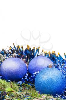 blue and violet Christmas balls on green spruce branch isolated on white background
