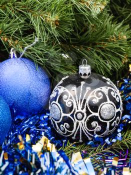 Christmas still life - one black glass close up and two blue and violet Christmas balls, tinsel on Xmas tree background