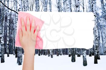 season concept - hand deletes winter birch trees by pink rag from image and white empty copy space are appearing