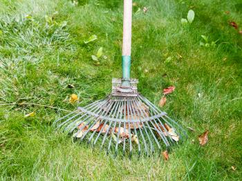 lawn care with the help of old rake