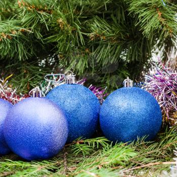 Christmas still life - several blue and violet Christmas baubles, tinsel on Xmas tree background