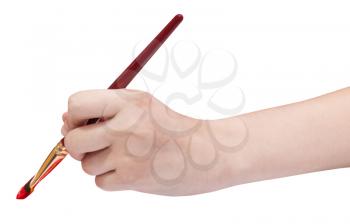hand holds artistic flat paintbrush with red painted tip isolated on white background
