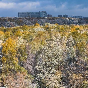 first snow on trees in forest and dark blue clouds over city in autumn
