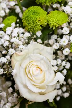 fresh white rose flower in bouquet close up