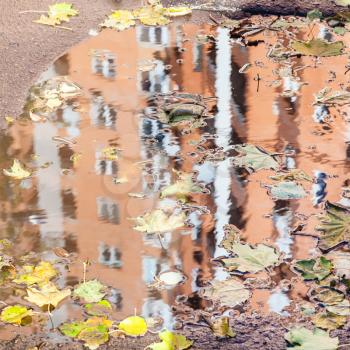 urban house is reflected in puddle with floating leaf litter in autumn day