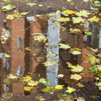 urban home is reflected in rain puddle with floating fallen leaves in autumn day