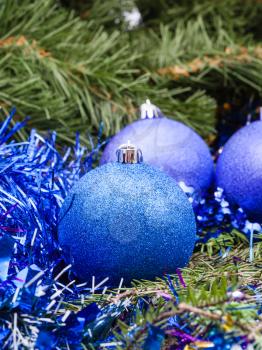 Christmas still life - three blue and violet Christmas balls, tinsel on Xmas tree background