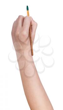 hand holds artistic paint brush with green paint isolated on white background