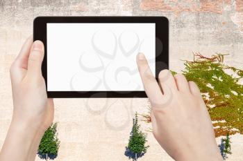 season concept - finger touches tablet pc with cut out screen and wall with ivy plant on background